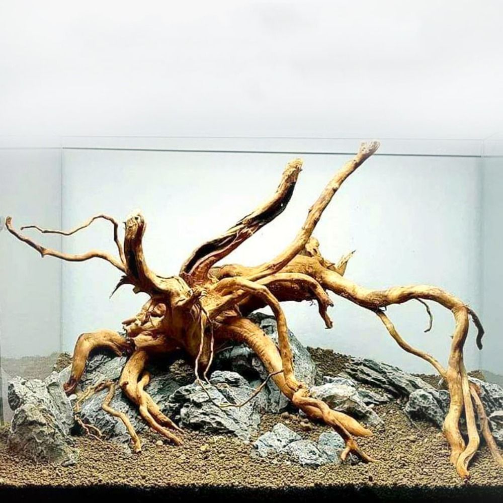Aquarium Planted Wood - 20-25CM Large Aquarium Driftwood Natural Fish