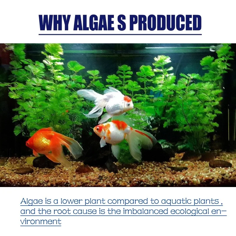 50g High Efficiency Algaecide  - огляд і ціна Planted Aquarium Algae