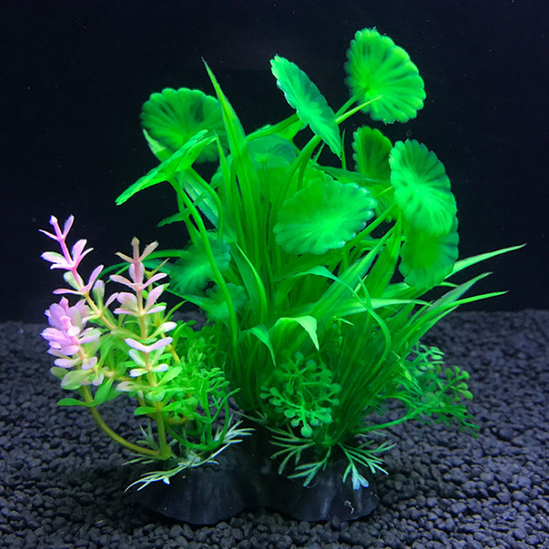 Aquarium decoration a variety  - огляд і ціна Aquarium Plant Varieties