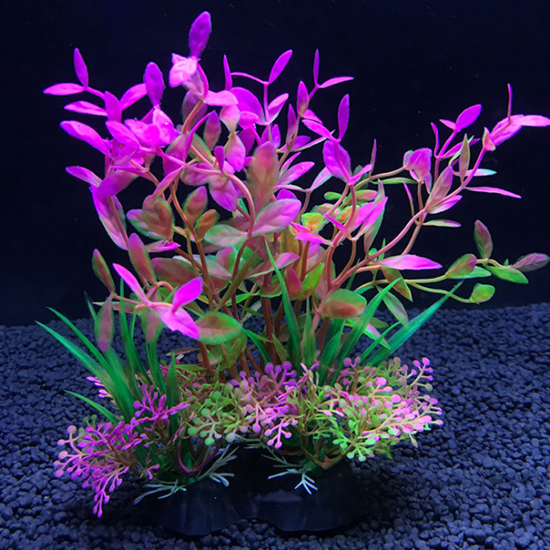 Aquarium decoration a variety  - огляд і ціна Aquarium Plant Varieties