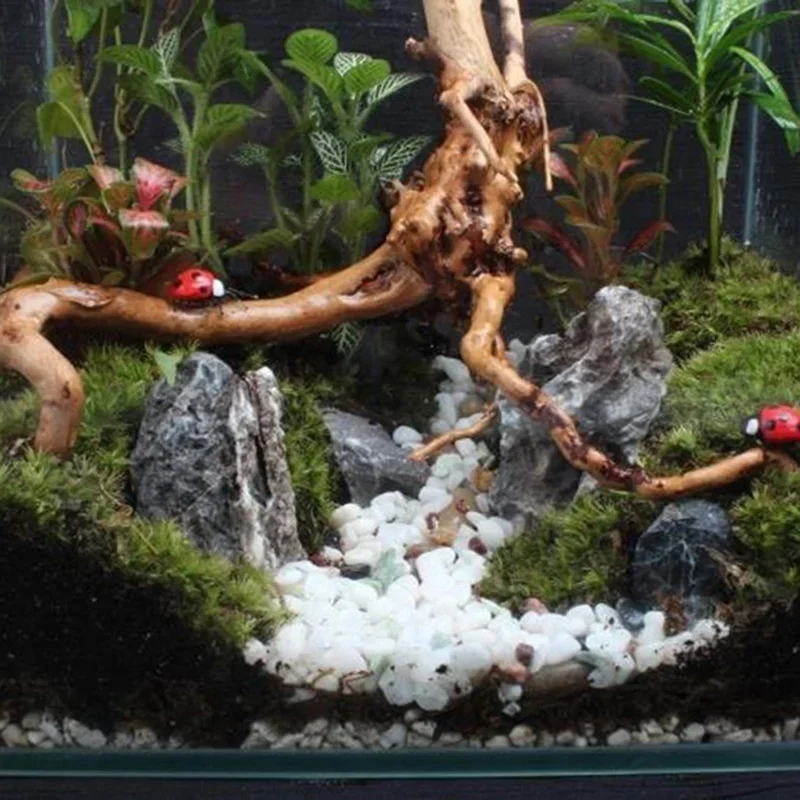 Natural Tree Trunk Driftwood A - огляд і ціна Aquarium Plant Design