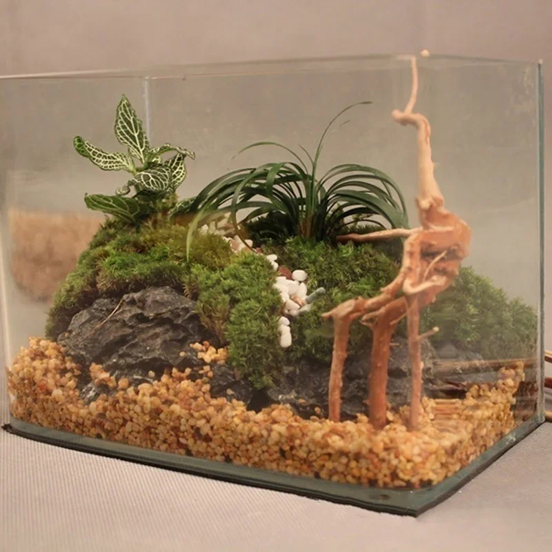 Natural Tree Trunk Driftwood A - огляд і ціна Aquarium Plant Design