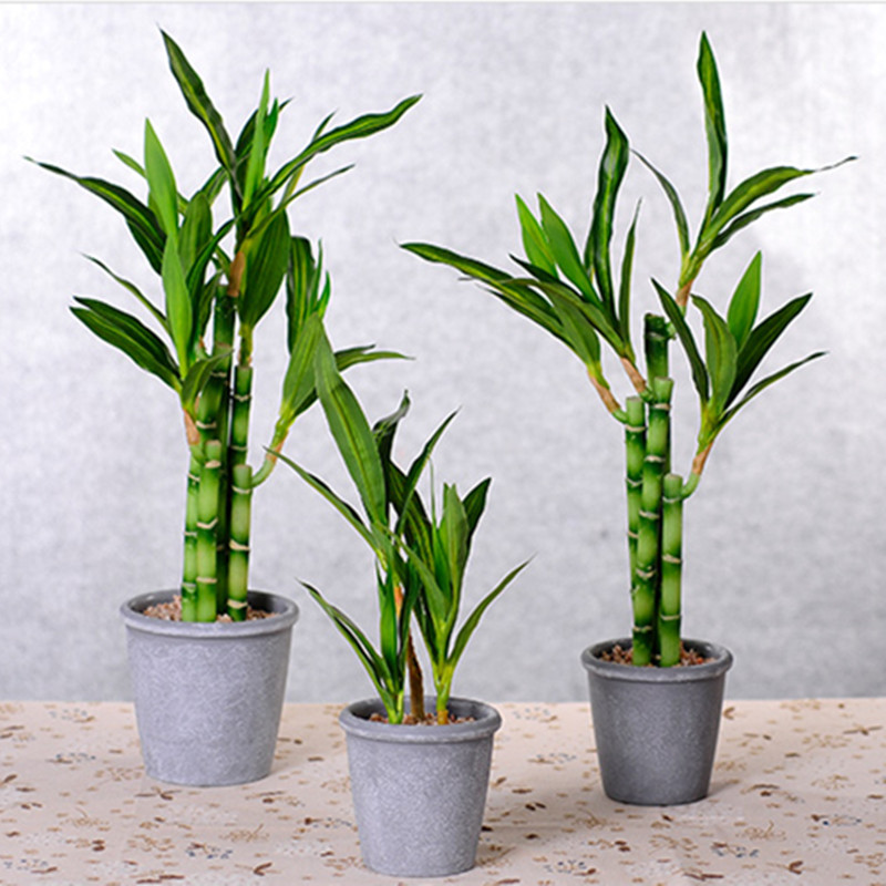 New 40cm Artificial Lucky Bamb - огляд і ціна Aquarium Plant In Pot
