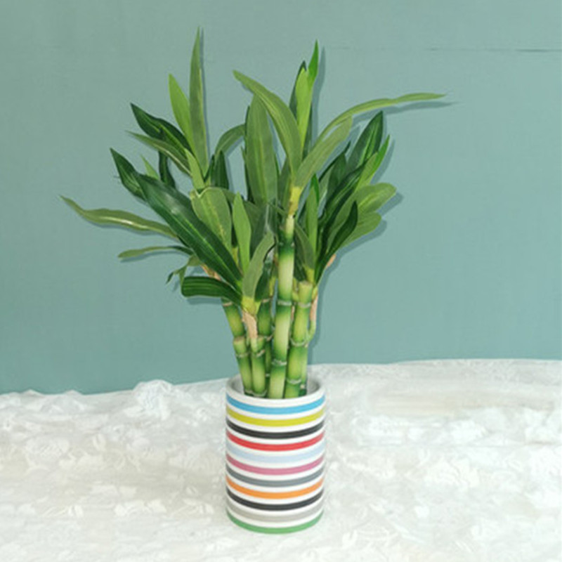New 40cm Artificial Lucky Bamb - огляд і ціна Aquarium Plant In Pot