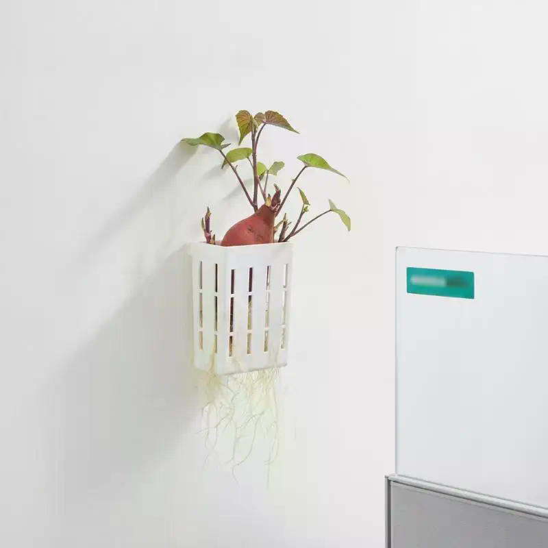 1Pcs Hydroponic Support Basket - огляд і ціна Aquarium Plant In Pot