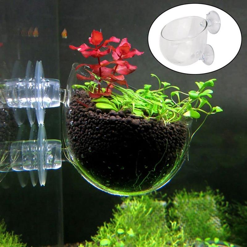 Acrylic Aquatic Plant Cup Aqua - огляд і ціна Aquarium Plant Seeds