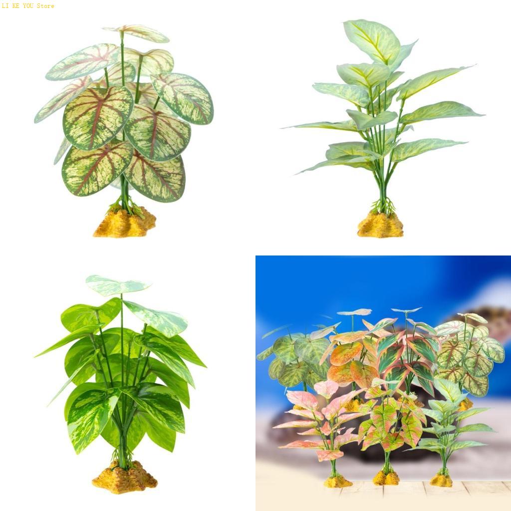 W3JE Terrarium Decorative Plan - огляд і ціна Planted Aquarium Jungle
