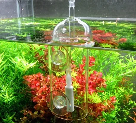 VIV Do Device Aquarium Cylinde - огляд і ціна Aquarium Lily Pipe