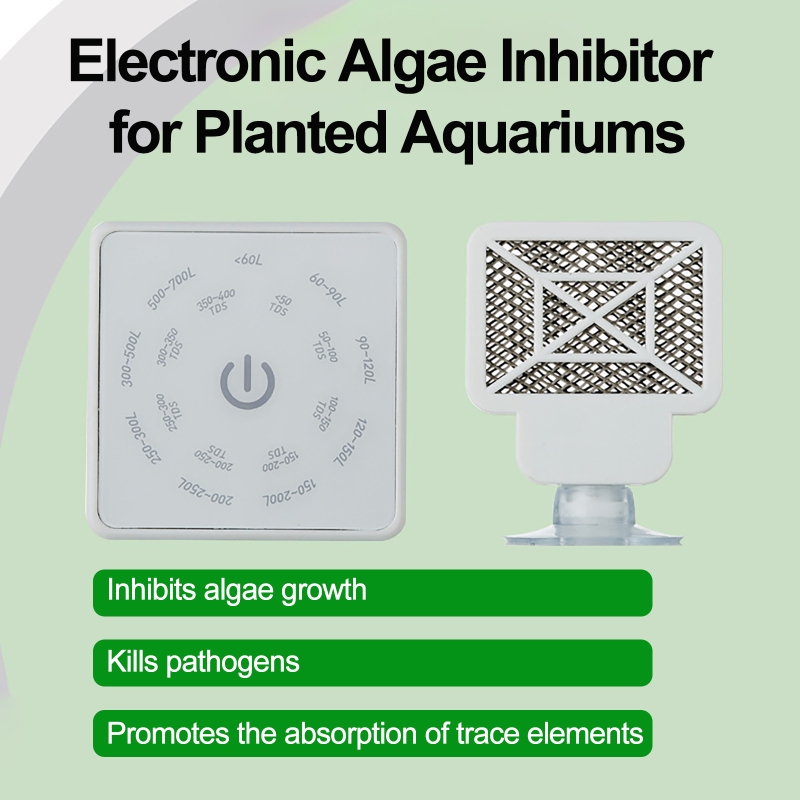 Electronic Aquarium Fish Tank  - огляд і ціна Planted Aquarium Algae