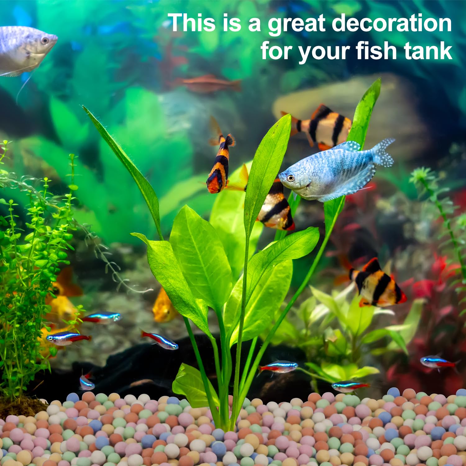 Hydroponic Plant Decorative Co - огляд і ціна Aquasoil Substrate