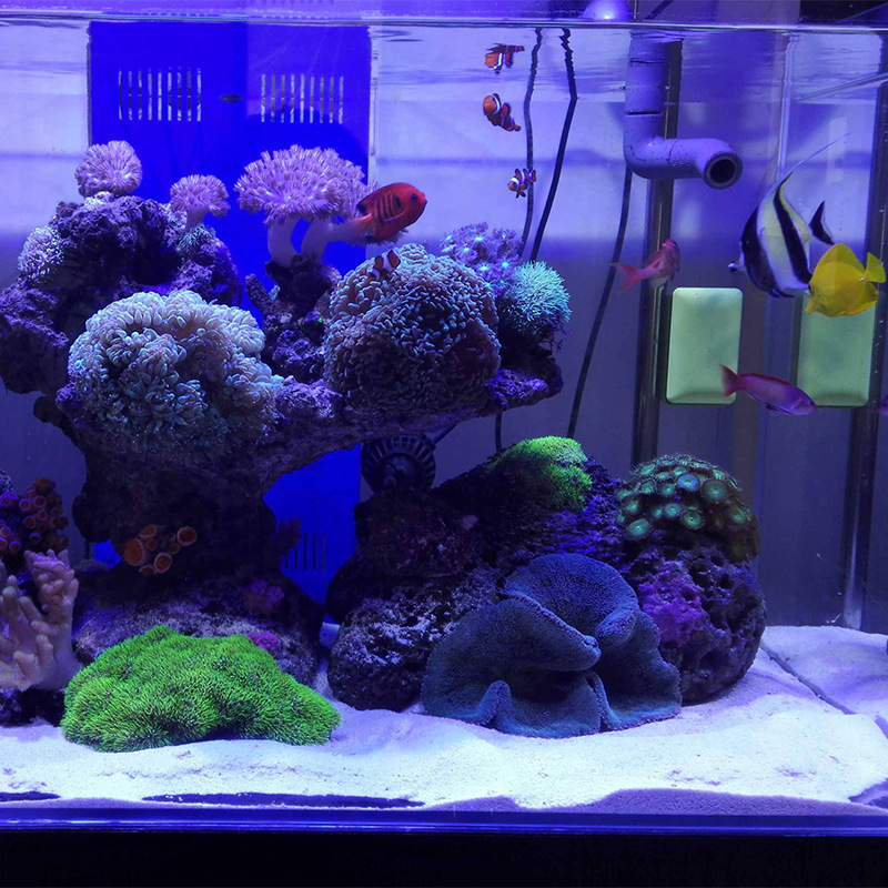 WAJABABY White Aquarium Sand - - огляд і ціна Aquasoil Substrate