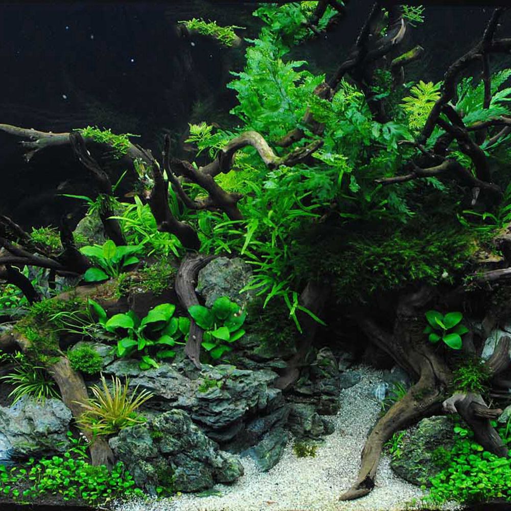 1 Pcs Wood Reptile Fish Tank O - огляд і ціна Aquarium Planted Wood