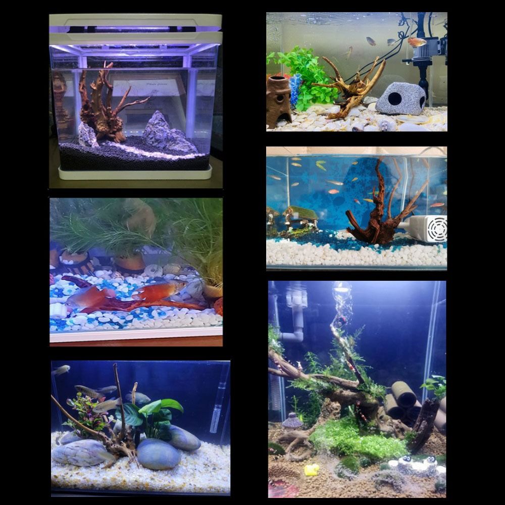 Natural Tree Trunk Aquarium De - огляд і ціна Aquarium Plant Design