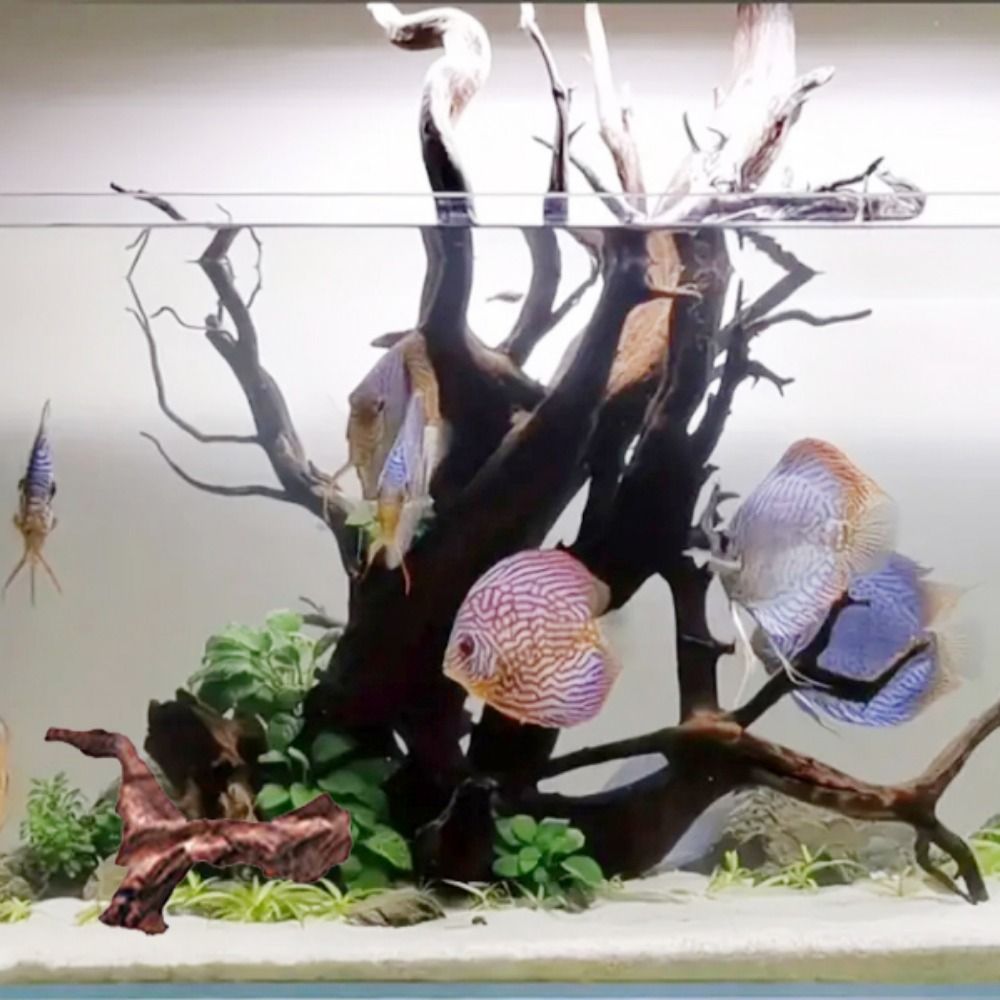 Creative Irregular Shape Coral - огляд і ціна Aquarium Planted Wood