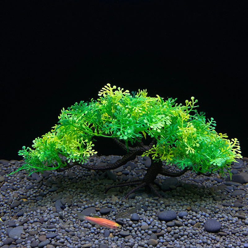 Aquarium Bonsai Tree, Plant, F - огляд і ціна Aquarium Plant Seeds
