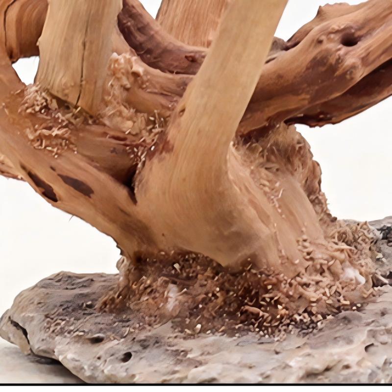 1PC Aquarium Landscaping Wood  - огляд і ціна Aquarium Planted Wood