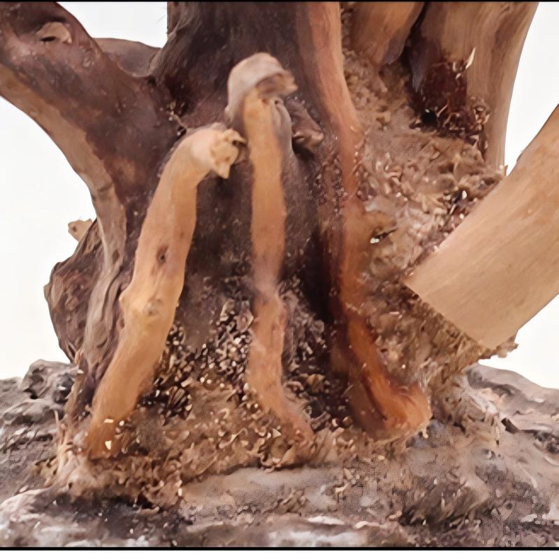 1PC Aquarium Landscaping Wood  - огляд і ціна Aquarium Planted Wood