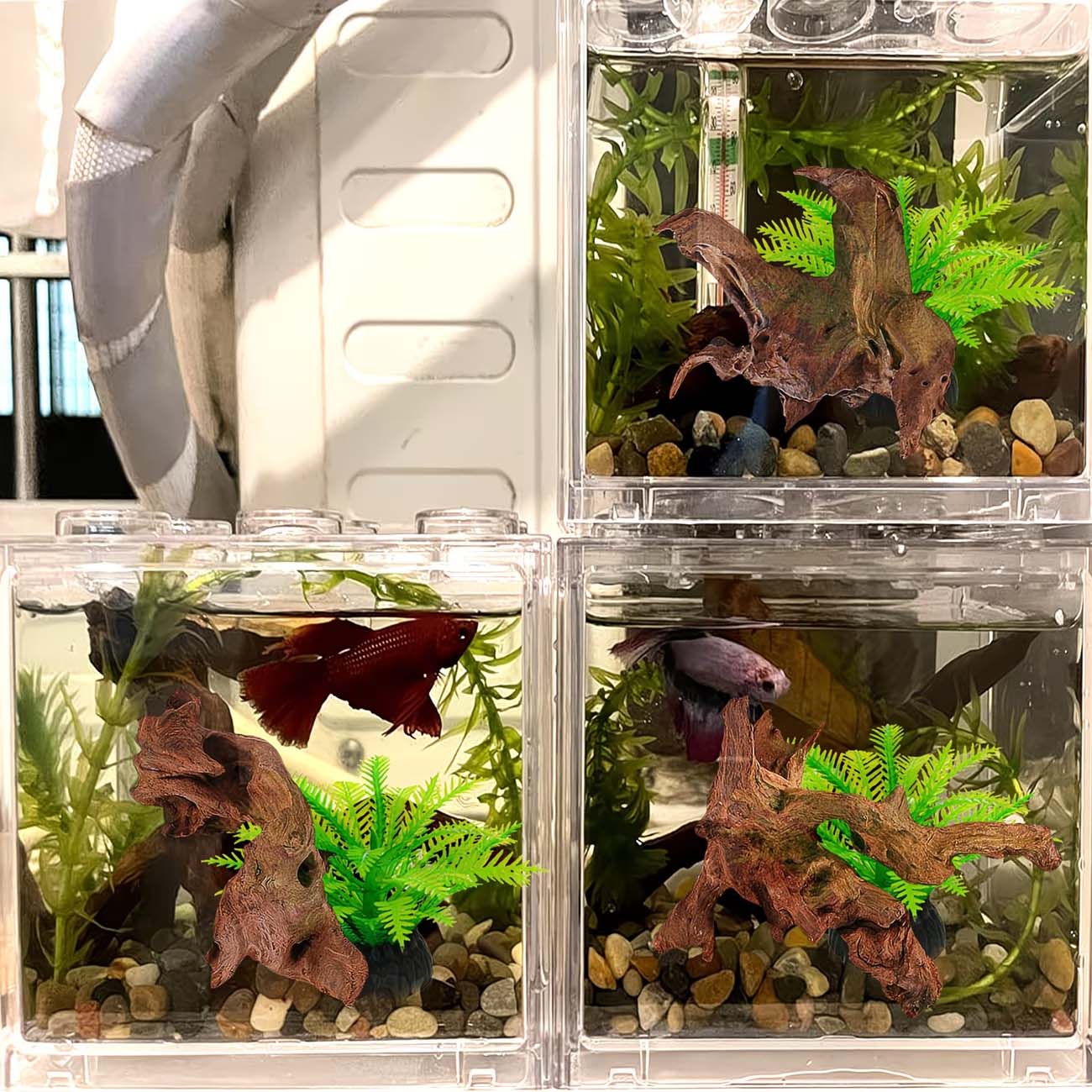 5-10CM Natural Sinkable Driftw - огляд і ціна Aquarium Planted Wood