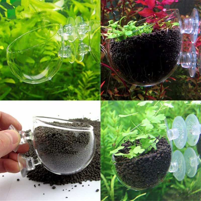 Aquarium Hanging Plant Pot Gla - огляд і ціна Aquarium Plant Seeds