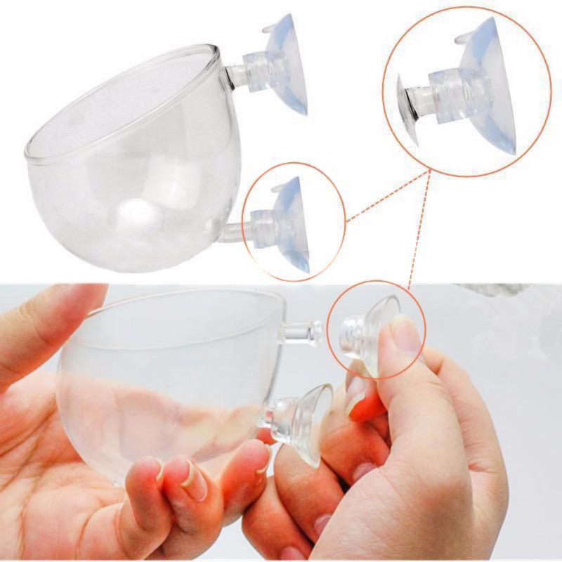 Aquarium Hanging Plant Pot Gla - огляд і ціна Aquarium Plant Seeds