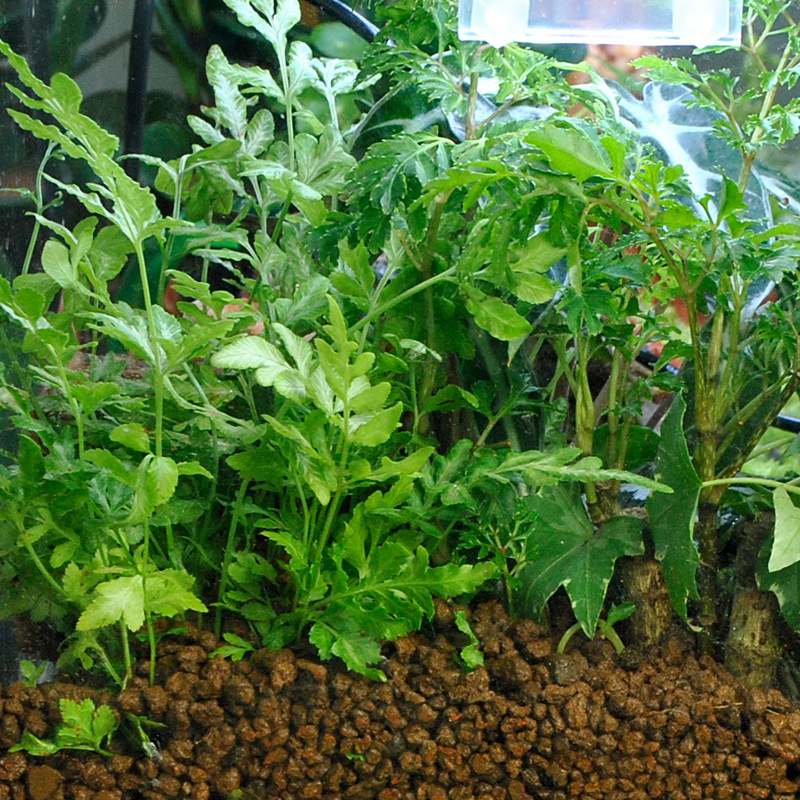 WAJABABY Akadama Soil - Natura - огляд і ціна Aquasoil Substrate