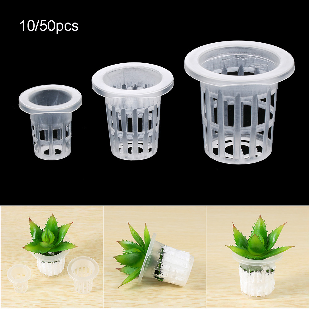10/50pcs Durable Planting Aqua - огляд і ціна Aquarium Plant Seeds