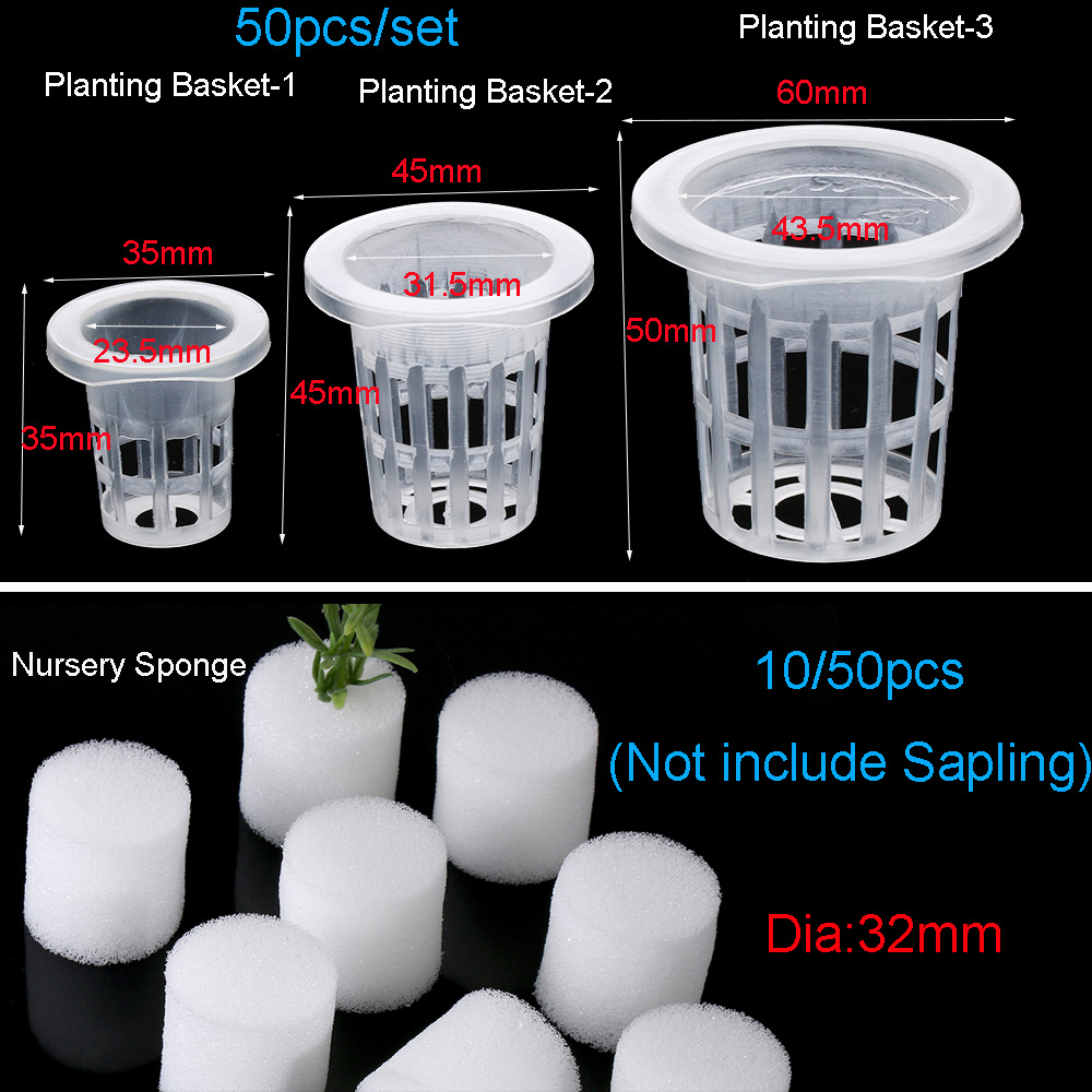 10/50pcs Durable Planting Aqua - огляд і ціна Aquarium Plant Seeds